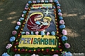 VBS_9888 - Infiorata Santuario della Madonnina di Villanova d'Asti 2024